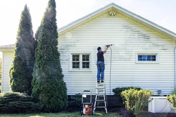 Best Roof Pressure Washing  in Zumbrota, MN