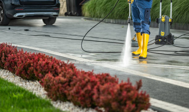 Best Roof Power Washing Services  in Zumbrota, MN