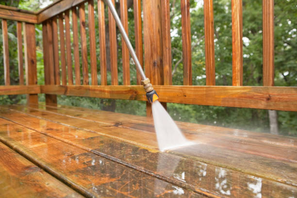 Best Roof Power Washing Services  in Zumbrota, MN