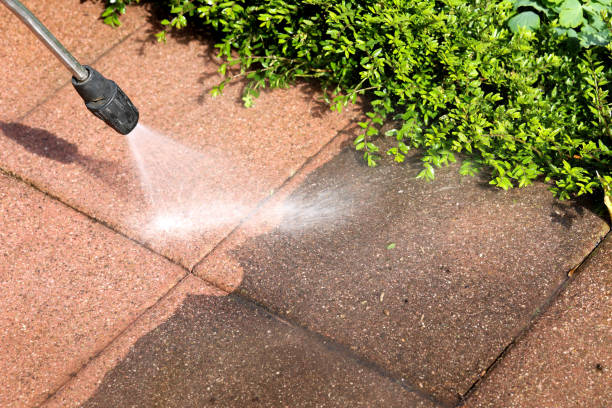 Best House Pressure Washing  in Zumbrota, MN